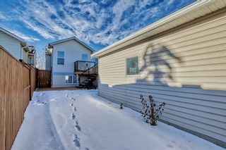 Photo 41: 193 Covehaven View NE in Calgary: Coventry Hills Detached for sale : MLS®# A2017947