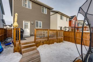 Photo 25: 329 South Point Green SW: Airdrie Detached for sale : MLS®# A2019163