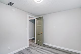 Photo 38: 80 Van Horne Crescent NE in Calgary: Vista Heights Detached for sale : MLS®# A2011848