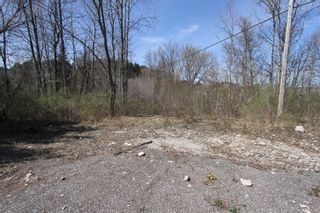 Photo 6: 259 County Rd 41 Road in Kawartha Lakes: Rural Bexley Property for sale : MLS®# X5210398