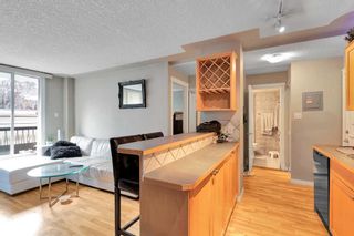 Photo 8: 303 1129 Cameron Avenue SW in Calgary: Lower Mount Royal Apartment for sale : MLS®# A2123648