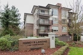 Main Photo: 406 11667 HANEY Bypass in Maple Ridge: West Central Condo for sale in "HANEY'S LANDING" : MLS®# R2155079