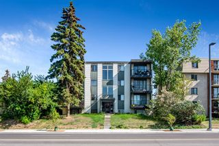 Photo 17: 305 2734 17 Avenue SW in Calgary: Shaganappi Apartment for sale : MLS®# A2054151