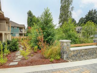 Photo 8: 1 3933 South Valley Dr in Saanich: SW Strawberry Vale Row/Townhouse for sale (Saanich West)  : MLS®# 843440
