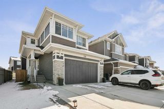Main Photo: 236 Red Sky Terrace NE in Calgary: Redstone Detached for sale : MLS®# A2125780