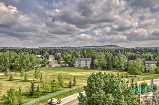 Photo 18: 916 5204 Dalton Drive NW in Calgary: Dalhousie Apartment for sale : MLS®# A2052253