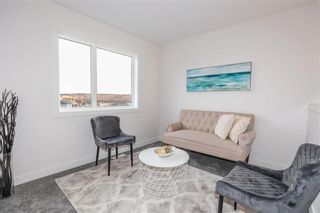 Photo 19: 43 Crystal Lake Terrace in Winnipeg: Prairie Pointe Residential for sale (1R)  : MLS®# 202314571