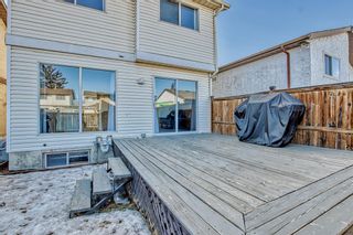 Photo 46: 307 Abinger Crescent NE in Calgary: Abbeydale Detached for sale : MLS®# A2035191