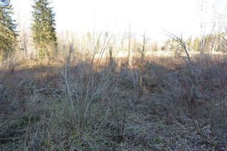 Photo 6: LOT A KLOECKNER Road in Smithers: Smithers - Rural Land for sale (Smithers And Area (Zone 54))  : MLS®# R2598861