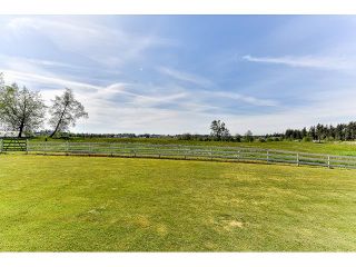 Photo 7: 2025 232 STREET in Langley: Campbell Valley House for sale : MLS®# R2071050