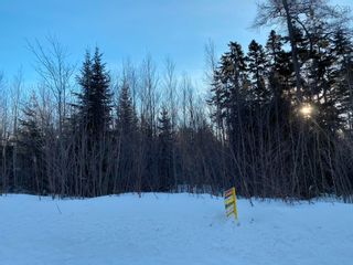 Photo 7: Lot 1 Powell Road in Little Harbour: 108-Rural Pictou County Vacant Land for sale (Northern Region)  : MLS®# 202201581