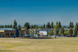 Photo 35: 165 Mt Lorette Place SE in Calgary: McKenzie Lake Detached for sale : MLS®# A2117602