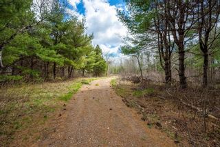 Photo 3: Lot 2021 Central Avenue in Greenwood: Kings County Vacant Land for sale (Annapolis Valley)  : MLS®# 202407909