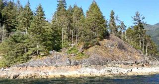 Photo 6: LOT 8 BEST POINT in North Vancouver: Indian Arm Land for sale : MLS®# R2207503