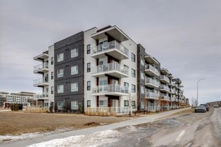 Photo 41: 308 4150 Seton Drive SE in Calgary: Seton Apartment for sale : MLS®# A1174506