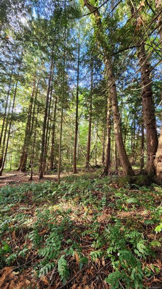 Photo 9: Lot 4 & 5 Inverness Rd in North Saanich: NS Ardmore Land for sale : MLS®# 945901