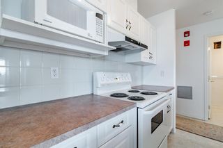 Photo 22: 427 165 Manora Place NE in Calgary: Marlborough Park Apartment for sale : MLS®# A1196284