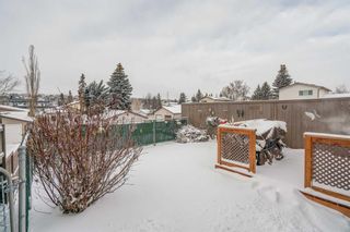 Photo 25: 3107 50 Street SW in Calgary: Glenbrook Semi Detached (Half Duplex) for sale : MLS®# A2101123