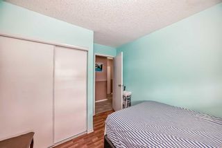 Photo 24: 118 20 Dover Point SE in Calgary: Dover Apartment for sale : MLS®# A2124249