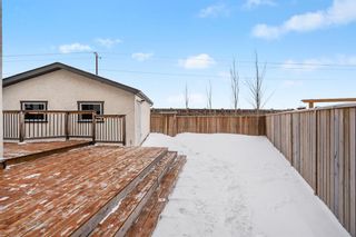 Photo 34: 138 Marquis Common SE in Calgary: Mahogany Detached for sale : MLS®# A2015247