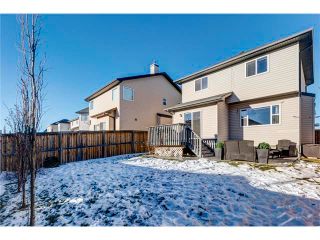 Photo 28: 41 ROYAL BIRCH Crescent NW in Calgary: Royal Oak House for sale : MLS®# C4041001