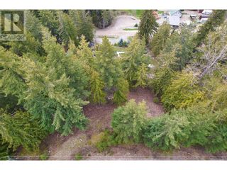 Photo 6: 7566 Lonneke Trail in Anglemont: Vacant Land for sale : MLS®# 10310704
