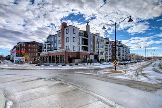Photo 41: 4313 215 Legacy Boulevard SE in Calgary: Legacy Apartment for sale : MLS®# A1199952