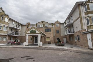 Photo 3: 116 2850 51 Street SW in Calgary: Glenbrook Apartment for sale : MLS®# A2011553