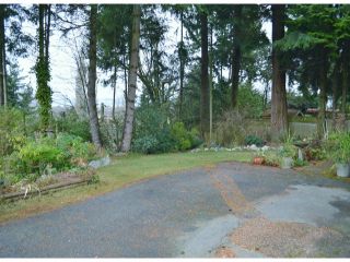 Photo 4: 2800 BAYVIEW Street in Surrey: Crescent Bch Ocean Pk. House for sale (South Surrey White Rock)  : MLS®# F1327230