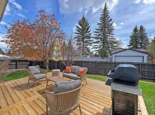 Photo 46: 127 Silver Ridge Close NW in Calgary: Silver Springs Detached for sale : MLS®# A2128283