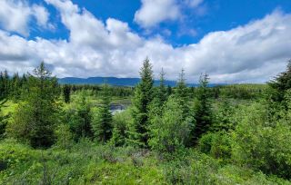 Photo 2: 4265 GIANT MINE ROAD in Spillimacheen: Vacant Land for sale : MLS®# 2474162