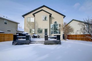 Photo 40: 236 Panorama Hills Place NW in Calgary: Panorama Hills Detached for sale : MLS®# A1185266