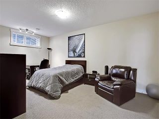 Photo 39: 394 DISCOVERY RIDGE Boulevard SW in Calgary: Discovery Ridge House for sale : MLS®# C4111009