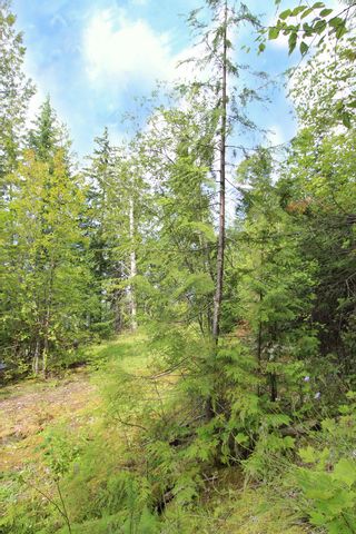 Photo 20: 3462 Eagle Bay Road in Blind Bay: Land Only for sale : MLS®# 10212583