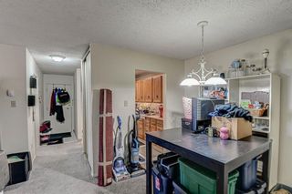 Photo 6: 5308 315 Southampton Drive SW in Calgary: Southwood Apartment for sale : MLS®# A2093433
