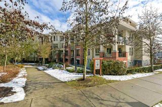 Photo 17: 101 245 ROSS Drive in New Westminster: Fraserview NW Condo for sale in "The Grove" : MLS®# R2347558