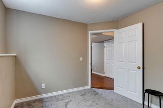 Photo 23: 179 Copperfield Grove SE in Calgary: Copperfield Detached for sale : MLS®# A2033761