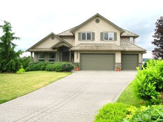 Photo 1: 5341 186A Street in Surrey: Cloverdale BC House for sale in "HUNTER PARK" (Cloverdale)  : MLS®# F2901631