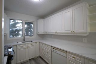 Photo 9: 14 Whiteram Place NE in Calgary: Whitehorn Semi Detached (Half Duplex) for sale : MLS®# A2113238