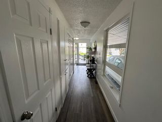 Photo 15: 291 3223 83rd Street NW in Calgary: Greenwood/Greenbriar Mobile for sale : MLS®# A2132642