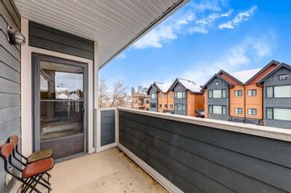 Photo 23: 301 1817 14A Street SW in Calgary: Bankview Apartment for sale : MLS®# A2125870