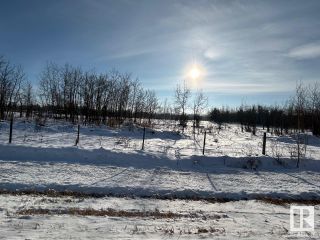 Photo 11: RR 222 Twp Rd 584: Rural Thorhild County Vacant Lot/Land for sale : MLS®# E4370854