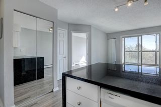 Photo 6: 402 2130 17 Street SW in Calgary: Bankview Apartment for sale : MLS®# A1185050
