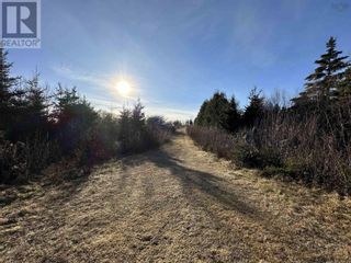 Photo 5: Lot 1 Old 329 Highway in Bayswater: Vacant Land for sale : MLS®# 202325483