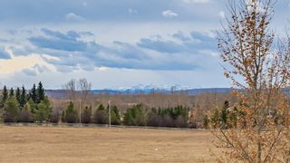 Photo 40: 165 GLYDE Park in Rural Rocky View County: Rural Rocky View MD Detached for sale : MLS®# C4273848