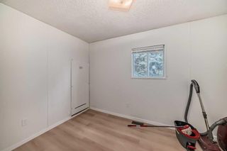 Photo 20: 3207 Burroughs Manor NE in Calgary: Monterey Park Mobile for sale : MLS®# A2124328