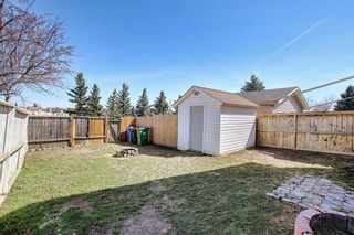 Photo 47: 66 Erin Green Way SE in Calgary: Erin Woods Detached for sale : MLS®# A1094602
