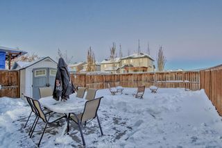 Photo 37: 395 Copperfield Grove SE in Calgary: Copperfield Detached for sale : MLS®# A2009768