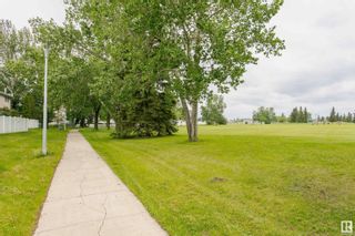 Photo 67: 6169 CARR Road in Edmonton: Zone 27 House for sale : MLS®# E4381823