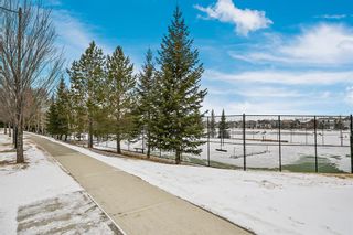 Photo 32: 213 Auburn Bay Circle SE in Calgary: Auburn Bay Row/Townhouse for sale : MLS®# A2035129